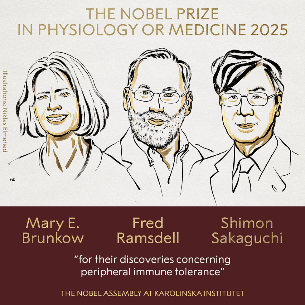 Meet the 2025 Nobel Laureates in Physiology and&nbsp;Medicine
